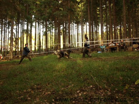 04 Listopad 2008.JPG