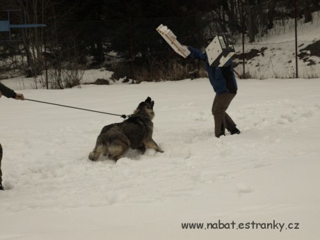 01 Morava - březen 2009.jpg